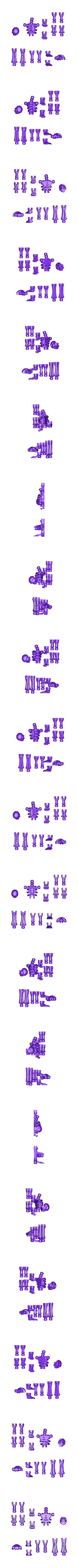 esqueleto completo.stl скелет