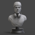 avicii-frontview.png Avicii