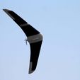 dab142d352a9f6a6aae1c492d83fc941_display_large.jpg Pieza de prueba - Ala de vuelo - UAV - El Ala Negra -