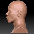 6.jpg Nelly bust for 3D printing