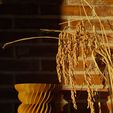 IMG_20231223_173346.jpg Ayı | Vazo