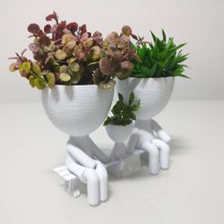 109772725_296853284989135_5593421726882211661_n.jpg Fichier STL Vase/Planter Robert Plant・Idée pour impression 3D à télécharger
