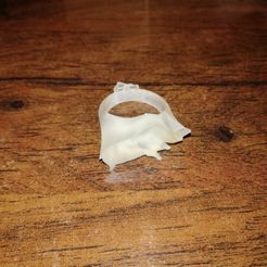 Anello con sigillo Chauvet Rhinoceros