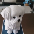 new3dmodelreleasecustomdogfigurinewithnameplaque-preview.png 🐾 New 3D Model Release: Custom Maltese Dog Figurine with Name Plaque! 🐶✨