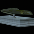 Eel-statue-10.png fish European eel / Anguilla anguilla statue detailed texture for 3d printing