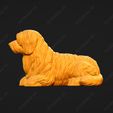 4218-Coton_De_Tulear_Pose_09.jpg Coton De Tulear Dog 3D Print Model Pose 09