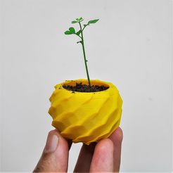 20230829_140517.jpg Spherical Tiny Planter Pot