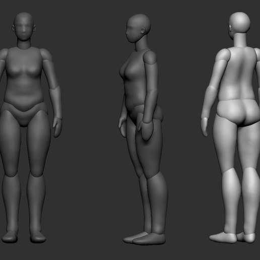 ♀️ MIDDLE-AGED FEMALE BODY POLYGROUP - MUJER MAYOR・ STL