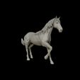 16.jpg American Quarter Horse model 3D print model