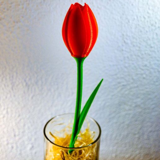 ac1532dc9e28a59f7f35d92e44e282ac_display_large.jpg Tulipa