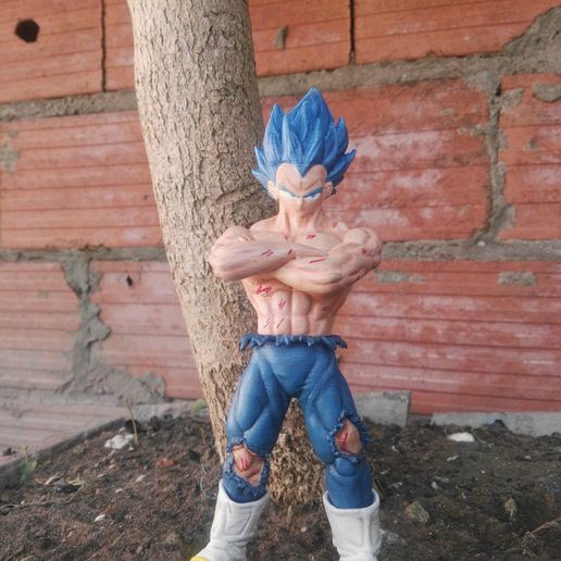 IMG_20201201_091012.jpg Vegeta Blaue Entwicklung