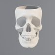 SKULL-POT-01.jpg POTE DE CAVEIRA