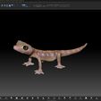 ZBrush3.jpg Namib Gecko -Pachydactylus rangaii-with full size texture + Zbrush Originals-STL 3D Print File-High Polygon