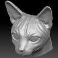 20.jpg Sphynx cat head for 3D printing