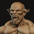 orc_test.406.jpg Orc Boxer