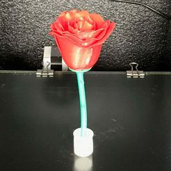 rose_in_vase.jpg Rose, stem and a little flowervase