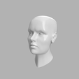 perspective-view.png Human Head Model - Bring Anatomy to Life