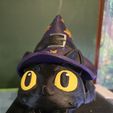 Witch Kitty Candy Holder