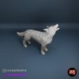Lobo.jpg Wolf 3d low poly puzzle