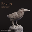 Preview1.png Raven