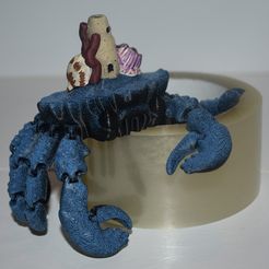 DSC_0457.jpg Crabe articulé avec tour - sans support