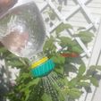 20180722_123538.jpg Soda bottle watering cap