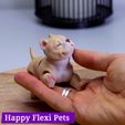 IMG_2875.jpg American Bully dog - flexi print in place toy by Happy Flexi pets (Updated!)
