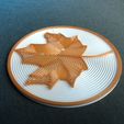 IMG_9101.jpg Maple Leaf Coaster