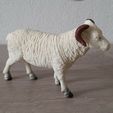 20230917_125828.jpg Sheep, 4 or 5 legs, + 1 new model 🐏
