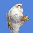 Bumble_Right.png The Abominable Bumble