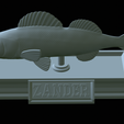 zander-statue-4-open-mouth-1-42.png fish zander / pikeperch / Sander lucioperca  open mouth statue detailed texture for 3d printing