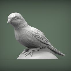 canary1.jpg Canary 3D print model
