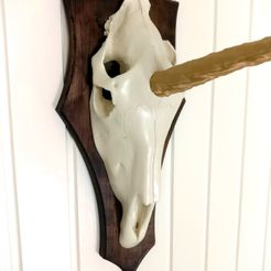 Cropped.jpg Fichier STL gratuit Trophée de chasse crâne de licorne・Objet à télécharger et à imprimer en 3D