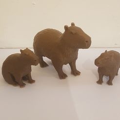 familia1.jpg Capybara family - Capybaras