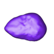 calypso_south_1_2_10_5.stl Telesto and Calypso scaled one in 500 thousand