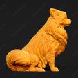 3534-Chihuahua_Long_Coat_Pose_04.jpg Chihuahua Long Coat Dog 3D Print Model Pose 04