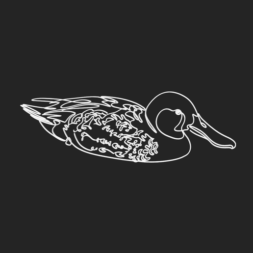 Australasian Shoveler 3 lineart 3d printed