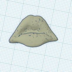 vue-dessus-face.jpg Fichier STL BOUCHE SENSUELLE・Design à télécharger et à imprimer en 3D