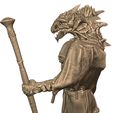 Draconian-lord04.jpg Dragonborn Sorcerer