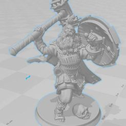 Nain1.jpg Well-motivated warrior dwarf