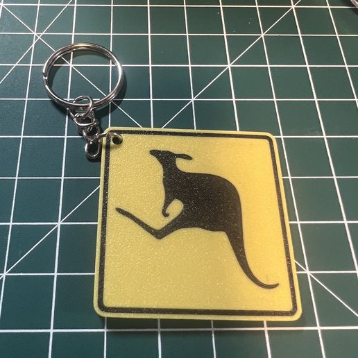 IMG_7828.jpeg Porte-clés Panneaux de circulation