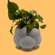 PhotoRoom.png Bubble Cloud Bottom Watering Planter