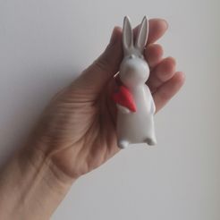 IMG_20221126_101118.jpg Un lapin avec un cœur