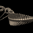 4.png Esqueleto de Mosasaurus