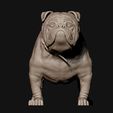 14.jpg Bulldog model 3D print model