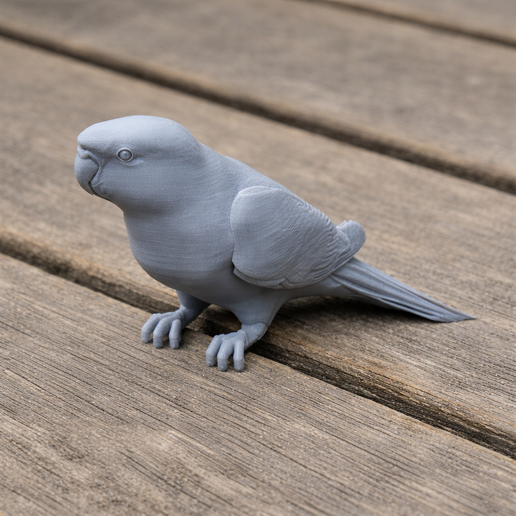 Australian ringneck