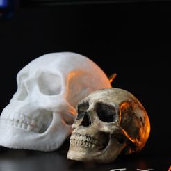 IMG_9388.jpeg Archivo STL gratis CALAVERA Portalápices, Pinceles y Herramientas ORGANIZADOR・Diseño de impresora 3D para descargar