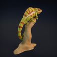 Chameleon_5.jpg Chameleon