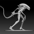 ZBr22.jpg Xenomorph Alien
