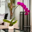 LEAF_Orchid-planter-vase_front.jpg LEAF  |  Orchid Vase Planter, fast-print